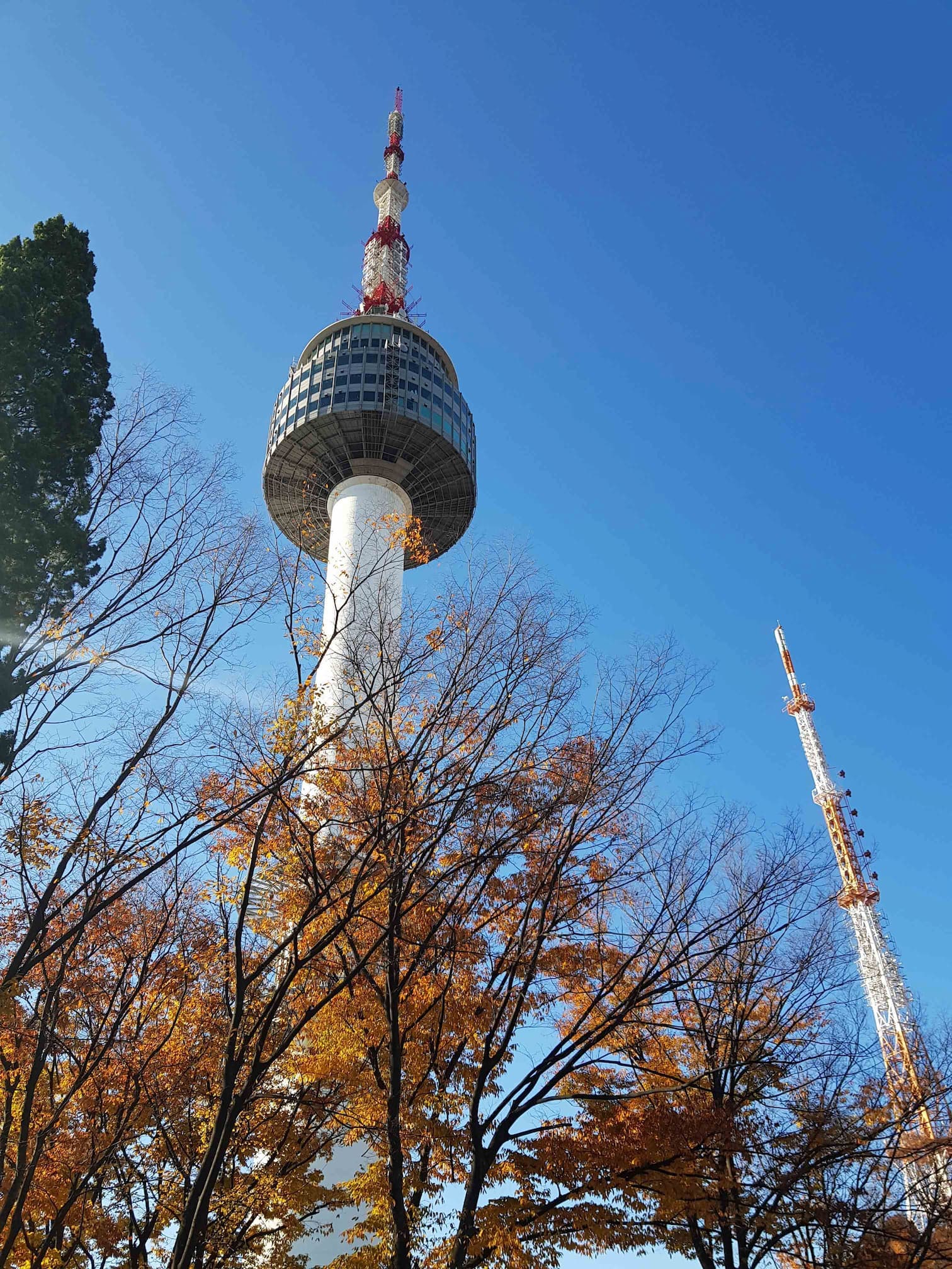 N Seoul Tower: Best Autumn Views & Fall Foliage in Seoul