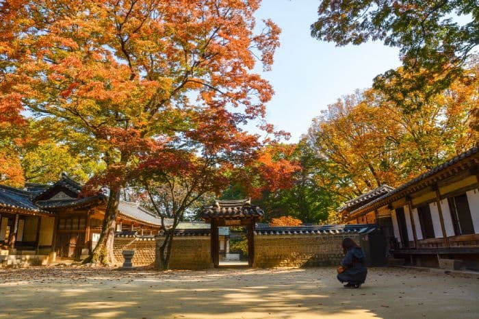 World Cultural Heritage Tour - Gallery