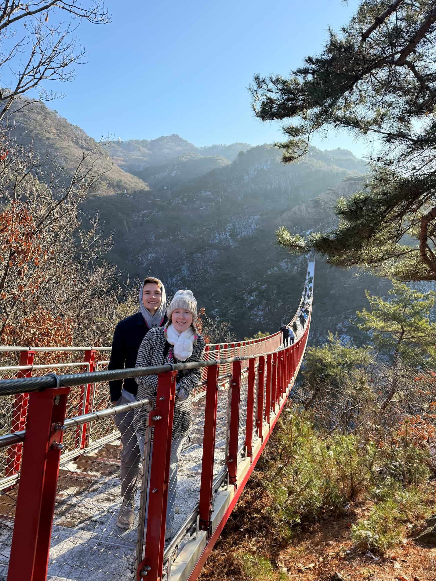 DMZ Tour with Red Suspension Bridge