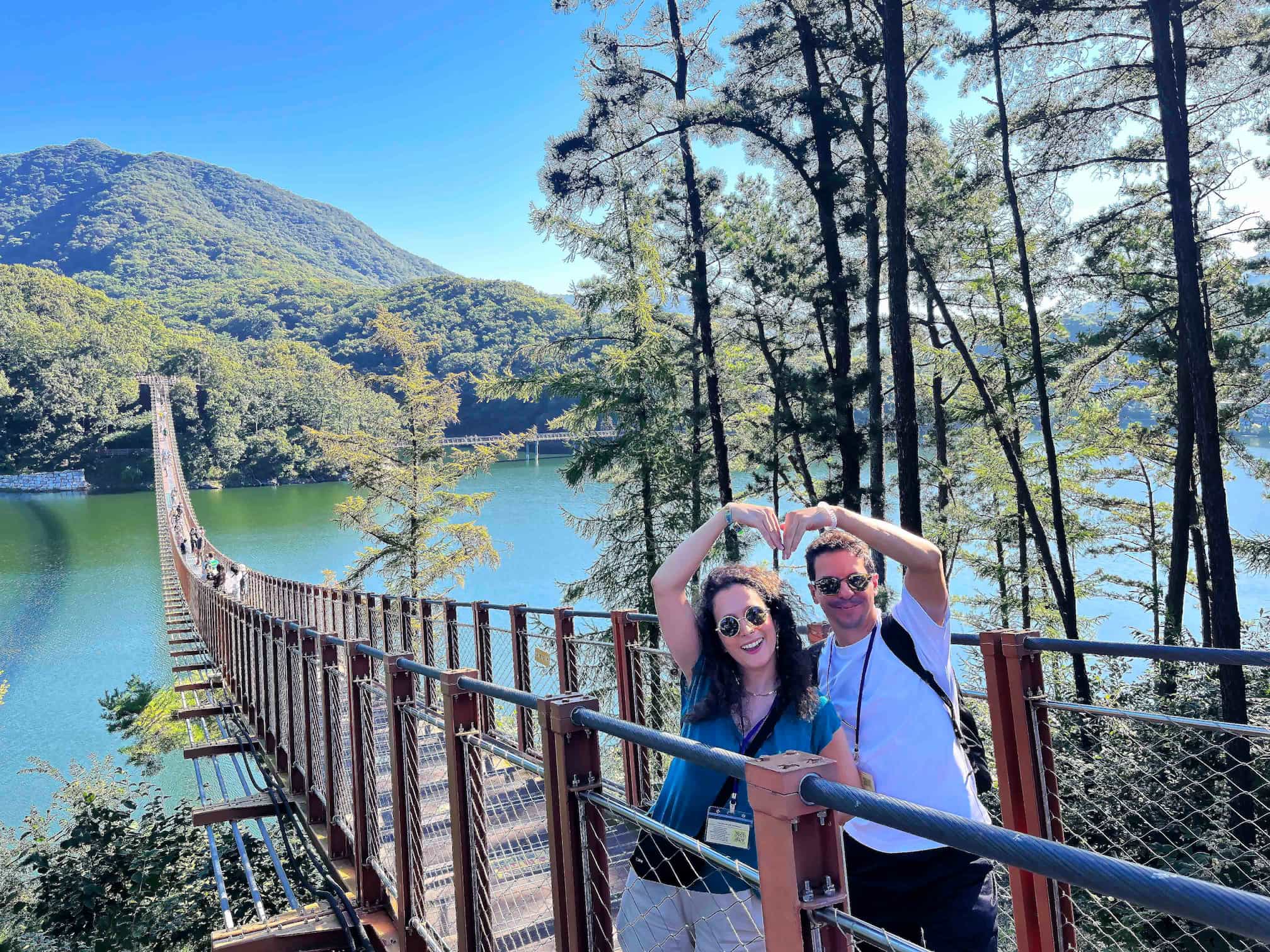 DMZ Tour with Majang Lake Suspension Bridge