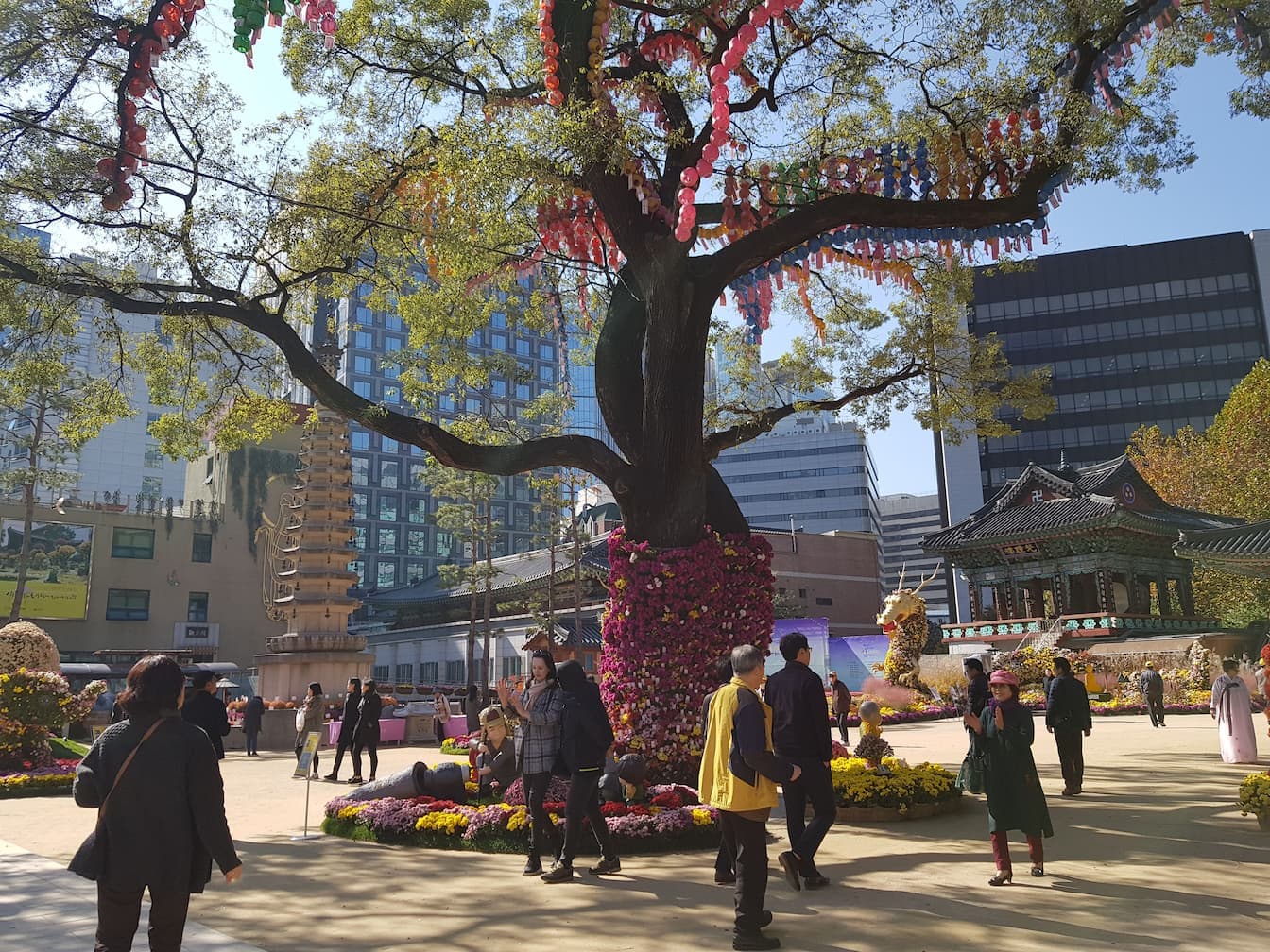 jogyesa-temple-chrysanthemum-festival-dragon
