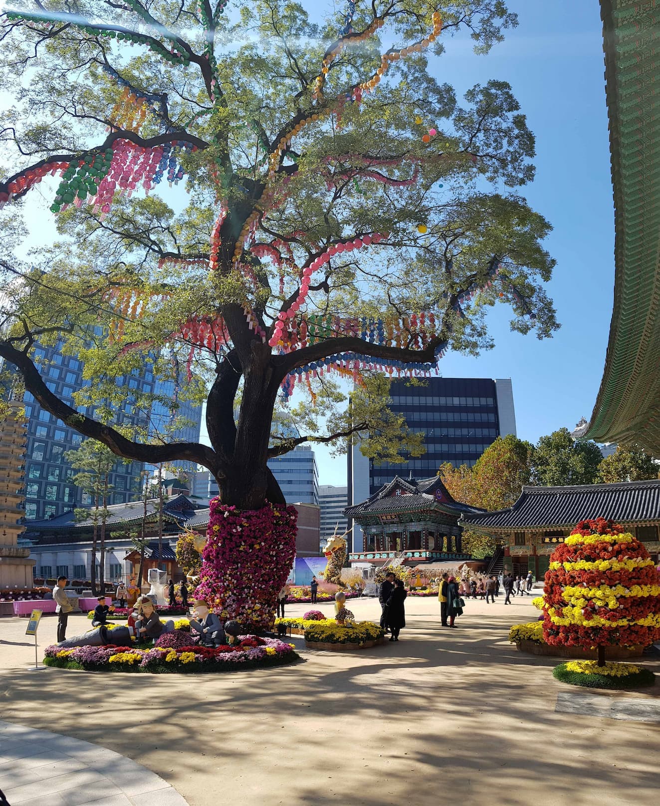jogyesa-temple-seoul-chrysanthemum-flower-festival